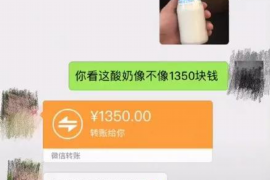 丹棱专业讨债公司，追讨消失的老赖